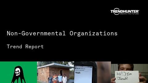 Non-Governmental Organizations Trend Report and Non-Governmental Organizations Market Research