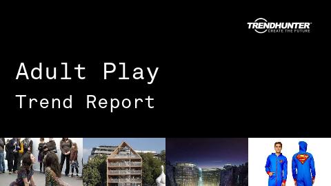 Adult Play Trend Report and Adult Play Market Research