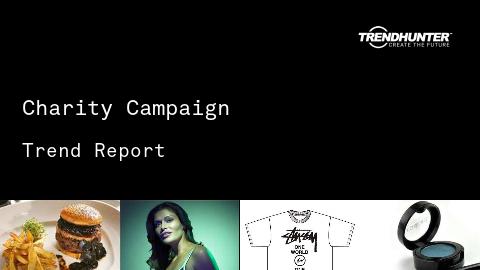 Charity Campaign Trend Report and Charity Campaign Market Research