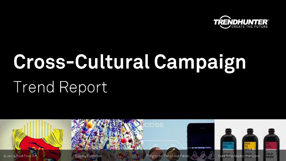 Cross-Cultural Campaign Trend Report Research
