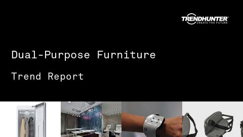 Dual-Purpose Furniture Trend Report and Dual-Purpose Furniture Market Research