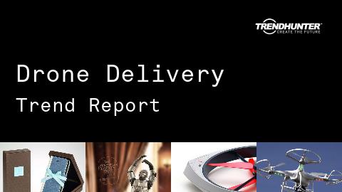 Drone Delivery Trend Report and Drone Delivery Market Research