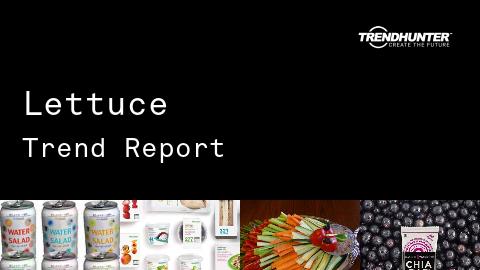 Lettuce Trend Report and Lettuce Market Research