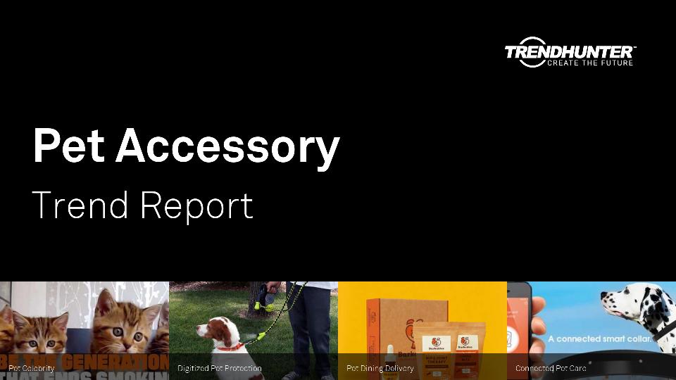 Pet Accessory Trend Report Research