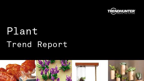 Plant Trend Report and Plant Market Research