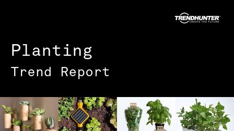 Planting Trend Report and Planting Market Research