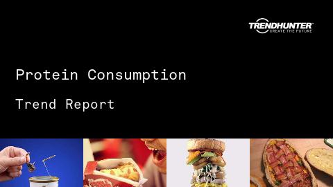 Protein Consumption Trend Report and Protein Consumption Market Research