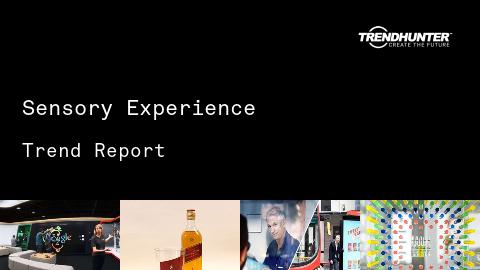 Sensory Experience Trend Report and Sensory Experience Market Research