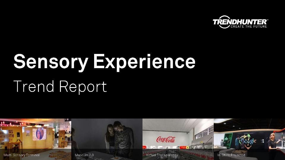 Sensory Experience Trend Report Research