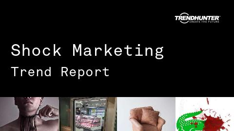 Shock Marketing Trend Report and Shock Marketing Market Research