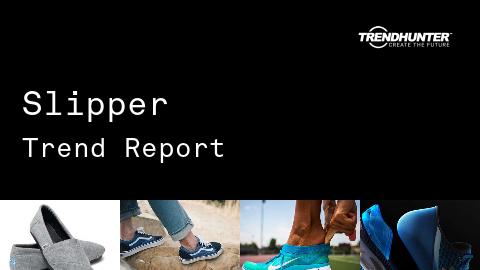 Slipper Trend Report and Slipper Market Research
