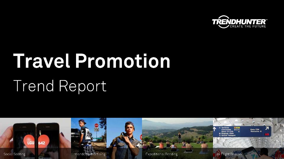 Travel Promotion Trend Report Research