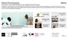 Art Photography Trend Report Research Insight 2
