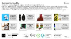 Vaporizer Trend Report Research Insight 4