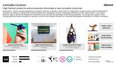 Vaporizer Trend Report Research Insight 5